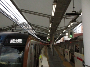 新宿三丁目駅から自由が丘駅の乗車記録(乗りつぶし)写真