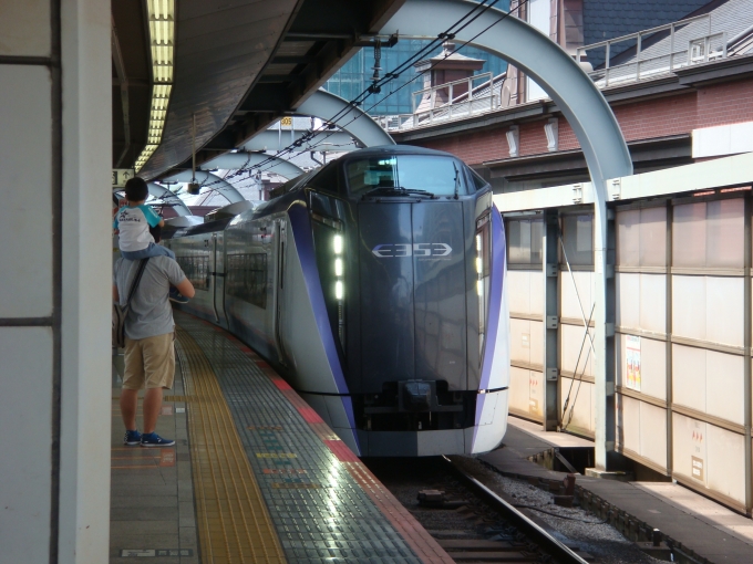 鉄道乗車記録の写真:乗車した列車(外観)(1)          「東京駅にて。
子供が手を振っていて、発車する際に電車は警笛を鳴らしていました。」