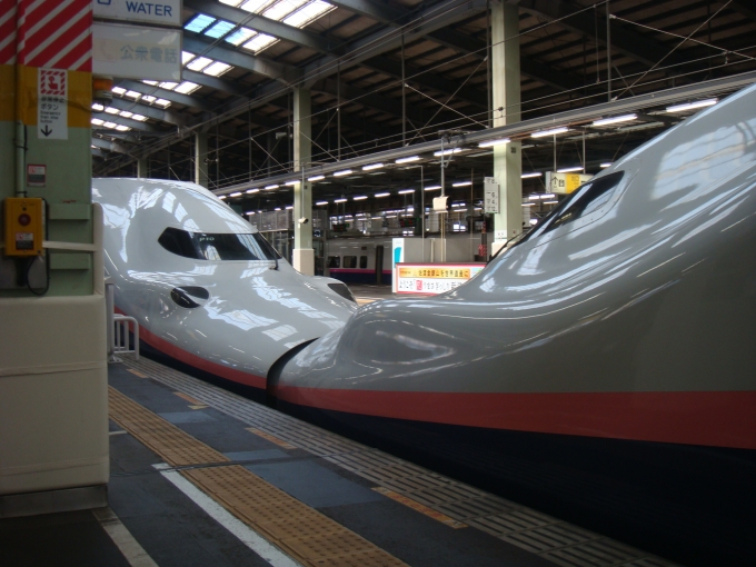 鉄道乗車記録の写真:乗車した列車(外観)(1)        「E4系の連結部です。
新潟駅にて。」