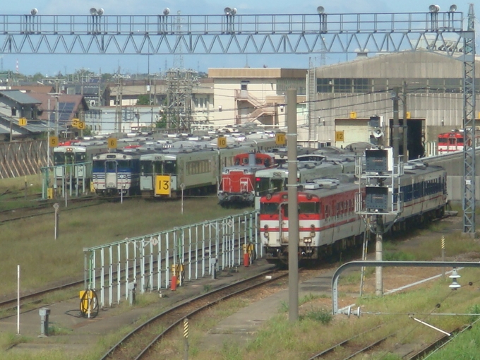 鉄道乗車記録の写真:列車・車両の様子(未乗車)(3)        「新津車両センターにいる列車たち。」
