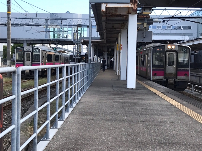 鉄道乗車記録の写真:列車・車両の様子(未乗車)(1)          「新庄駅にて様々な路線の車両を撮影。」