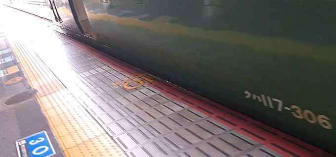 鉄道乗車記録の写真:列車・車両の様子(未乗車)(3)        「山科で再び出会う、クハ117-306」