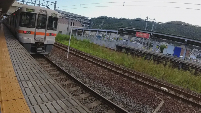 鉄道乗車記録の写真:列車・車両の様子(未乗車)(2)        「東海の313系。生で見たの初?」