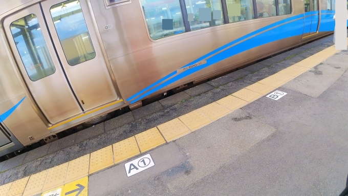 鉄道乗車記録の写真:車両銘板(2)        「帯が銘板で切られています。
取付位置を変えることはできなかったのでしょうか。」