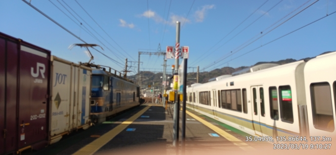 鉄道乗車記録の写真:列車・車両の様子(未乗車)(6)        「北斗星色牽引貨物と(2810M)F01」