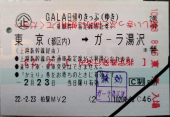 東京駅からガーラ湯沢駅の乗車記録(乗りつぶし)写真