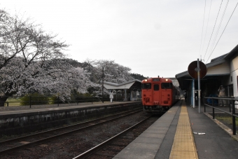 竹野駅から豊岡駅の乗車記録(乗りつぶし)写真