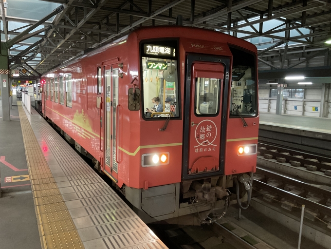鉄道乗車記録の写真:列車・車両の様子(未乗車)(1)        「福井鉄道　九頭竜線」