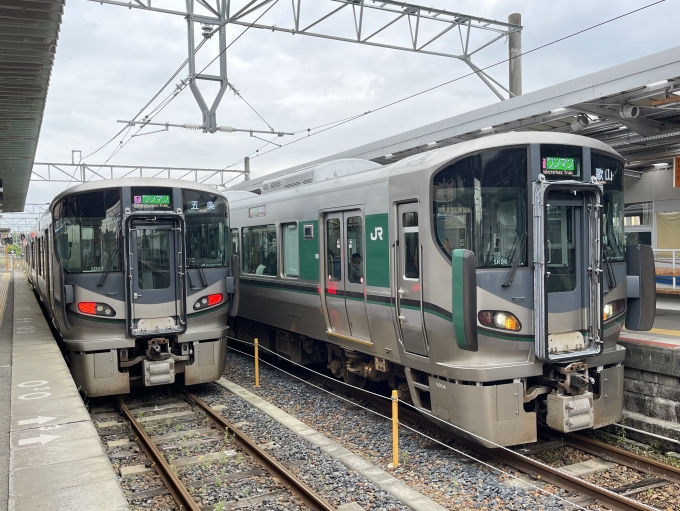 鉄道乗車記録の写真:乗車した列車(外観)(1)          「橋本にて10分停車。」
