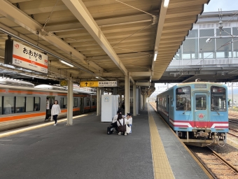 大垣駅から本巣駅の乗車記録(乗りつぶし)写真