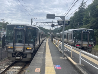園部駅から日吉駅:鉄道乗車記録の写真