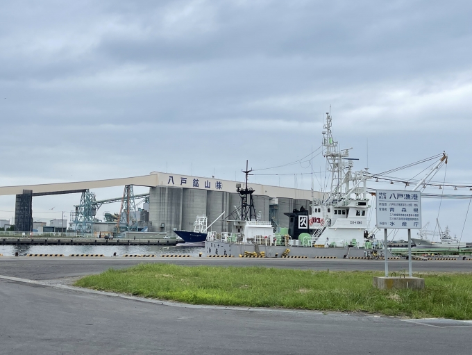 鉄道乗車記録の写真:旅の思い出(4)        「駅を降りて5分程で漁港に到着。銚子から北上した沖合(？)漁業の漁船が鎮座していた。」