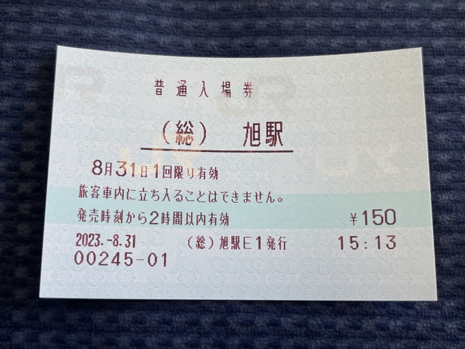 鉄道乗車記録の写真:きっぷ(4)        「この入場券が買えるのも今日で最後定期。」