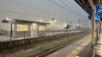 南今庄駅から大土呂駅の乗車記録(乗りつぶし)写真