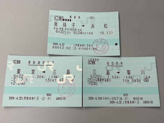 鉄道乗車記録の写真:きっぷ(1)          「使用したきっぷ。」