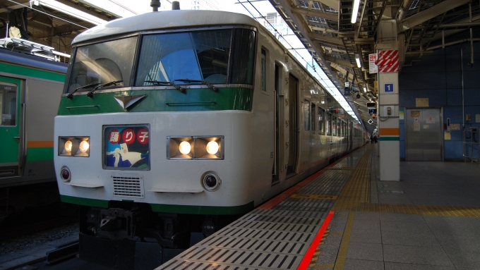鉄道乗車記録の写真:乗車した列車(外観)(1)     「185系0番代(A5)
@東京駅9番線」