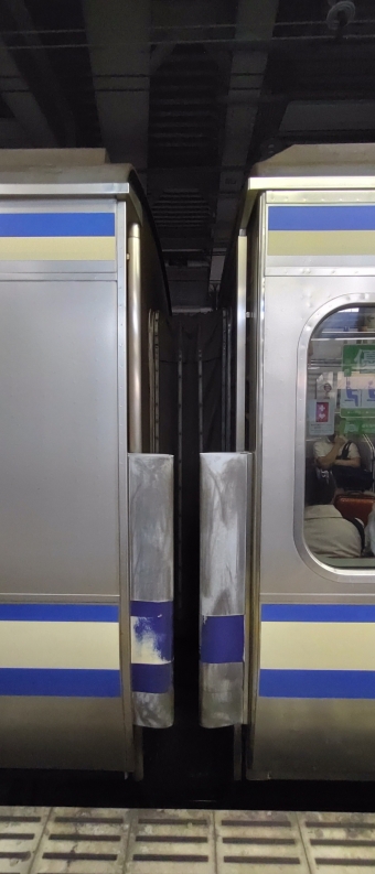 大船駅から品川駅の乗車記録(乗りつぶし)写真