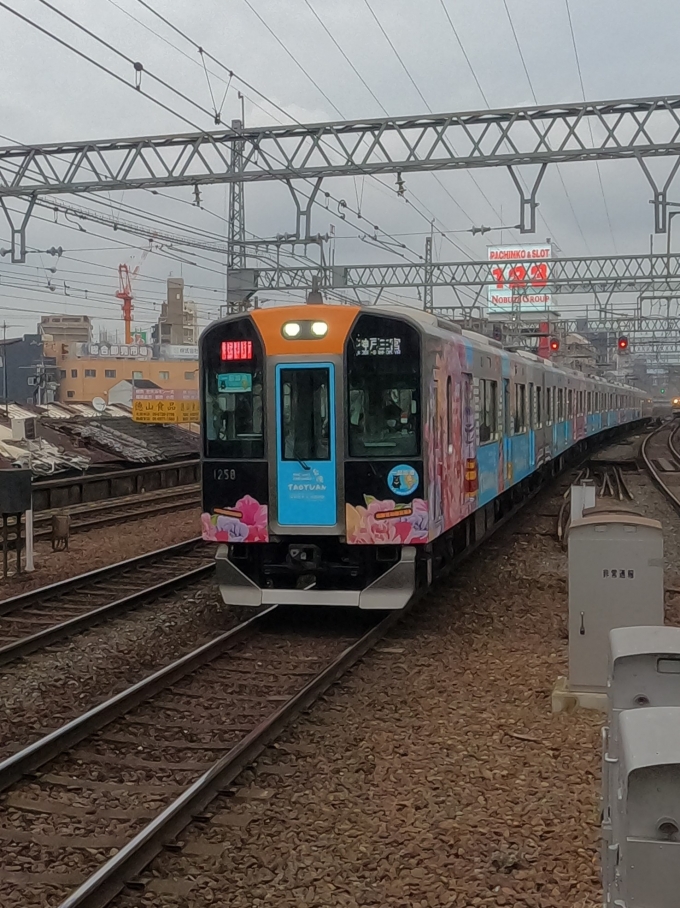 鉄道乗車記録の写真(9)        「「阪神電車×桃園メトロ連携記念ラッピング列車」のHS58。」