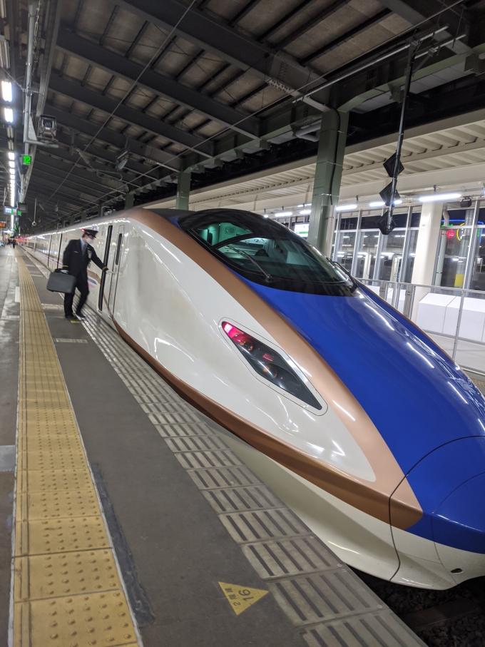 鉄道乗車記録の写真:乗車した列車(外観)(1)        「E7系で上越新幹線を上って行きます。」