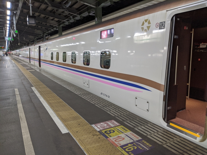 鉄道乗車記録の写真:乗車した列車(外観)(2)        「しかもピンク帯が入った“上越新幹線限定”編成でした。」