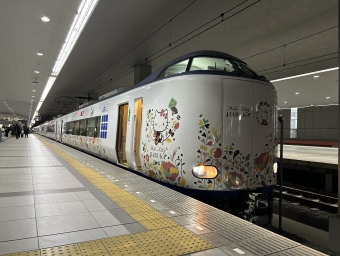 大阪駅から関西空港駅:鉄道乗車記録の写真