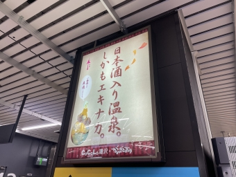 越後湯沢駅から越後川口駅の乗車記録(乗りつぶし)写真