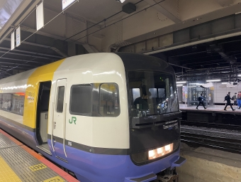 新宿駅から蘇我駅の乗車記録(乗りつぶし)写真