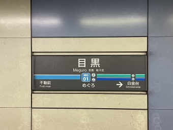目黒駅から西高島平駅の乗車記録(乗りつぶし)写真