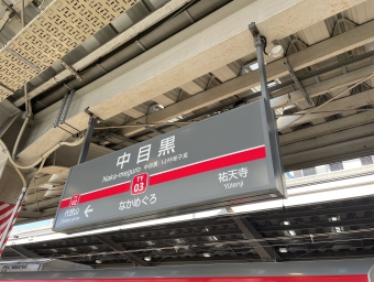 中目黒駅から和光市駅の乗車記録(乗りつぶし)写真
