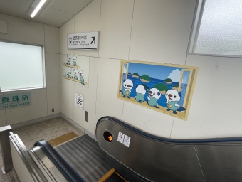 賢島駅から大和八木駅の乗車記録(乗りつぶし)写真