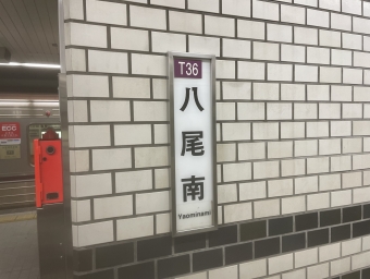 八尾南駅から大日駅の乗車記録(乗りつぶし)写真