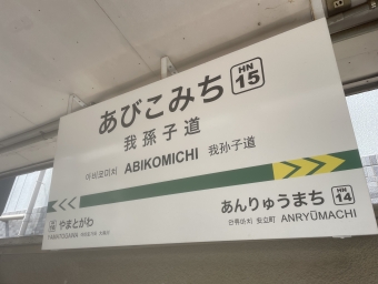 我孫子道停留場から恵美須町停留場の乗車記録(乗りつぶし)写真