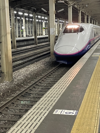 越後湯沢駅から高崎駅:鉄道乗車記録の写真