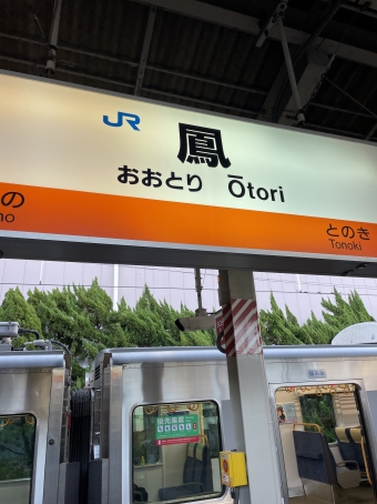 鳳駅から関西空港駅の乗車記録(乗りつぶし)写真