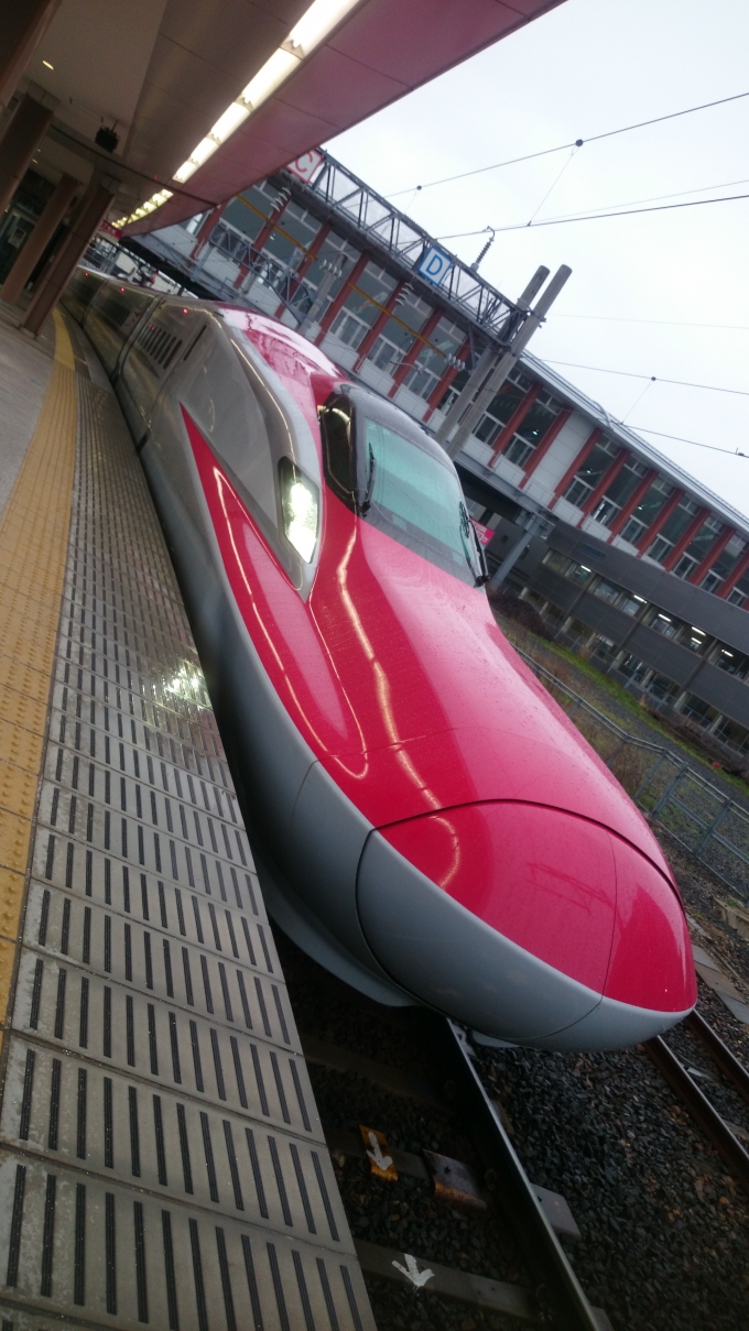 鉄道乗車記録の写真:乗車した列車(外観)(1)     「秋田新幹線こまち」