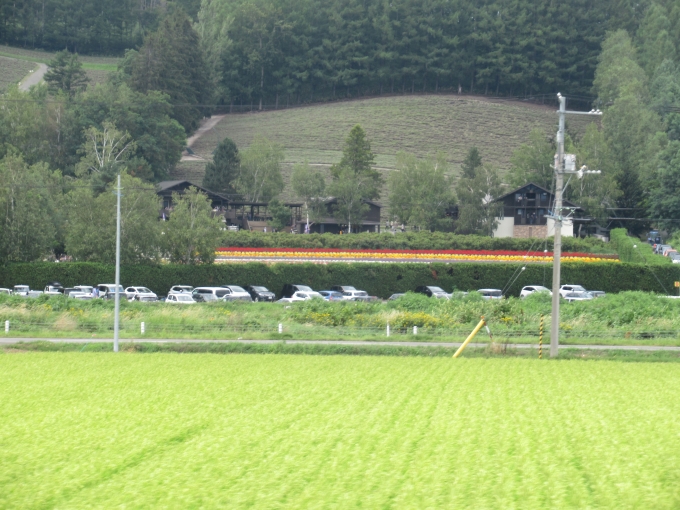 鉄道乗車記録の写真:車窓・風景(10)        「ファーム冨田。駅から歩いて行けそう。」