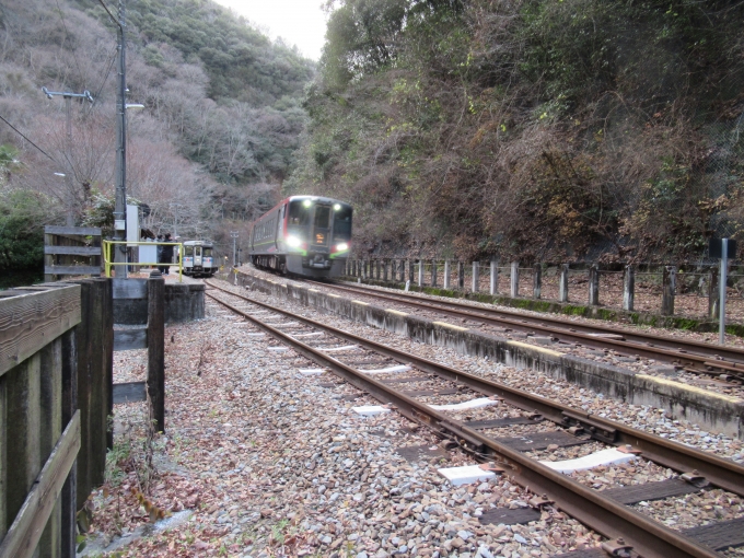 鉄道乗車記録の写真:列車・車両の様子(未乗車)(9)        「坪尻駅を通過する特急」
