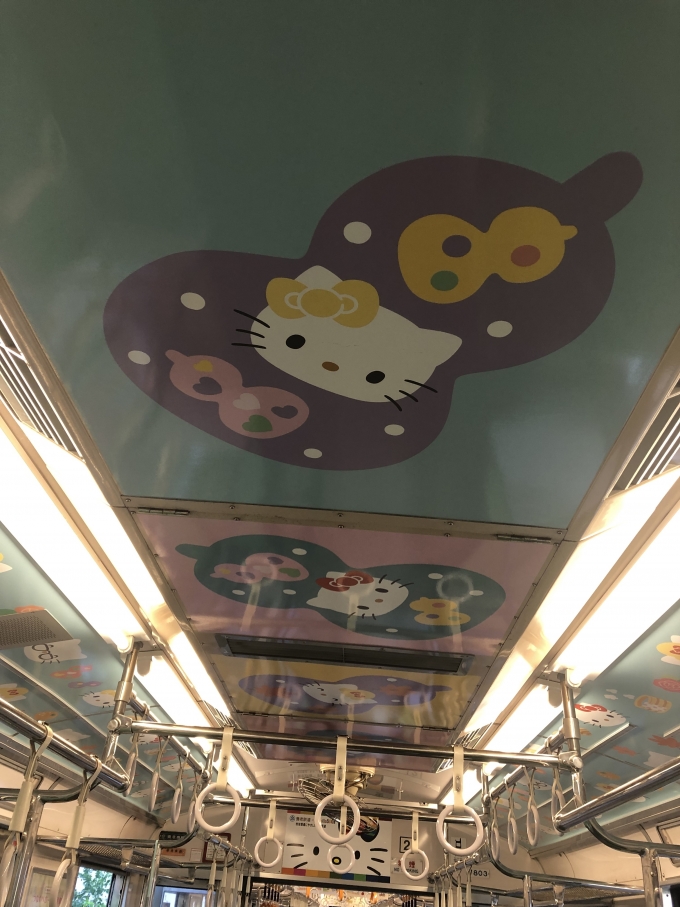 鉄道乗車記録の写真:車内設備、様子(9)        「天井にもキティちゃん」