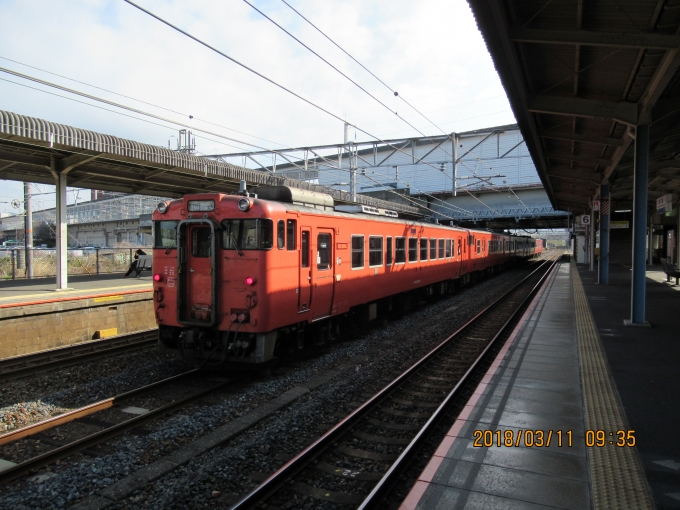 鉄道乗車記録の写真:列車・車両の様子(未乗車)(3)        「回送されるキハ40の5両」