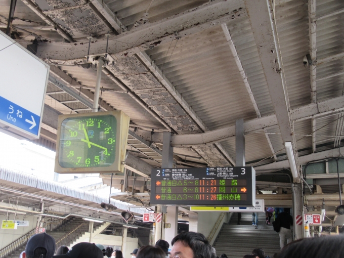 鉄道乗車記録の写真:駅舎・駅施設、様子(2)        