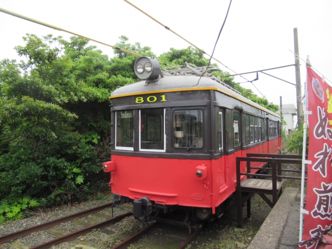 鉄道乗車記録の写真:列車・車両の様子(未乗車)(1)          「外装塗装されたデハ801」