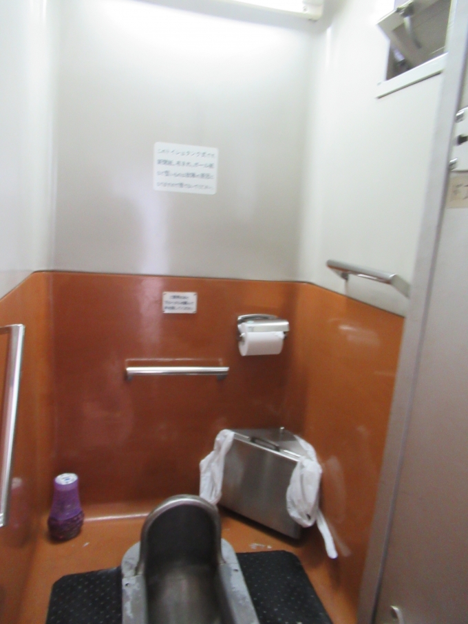 鉄道乗車記録の写真:車内設備、様子(9)        「トイレは整備されてきれい。
窓つきなのもいい。」