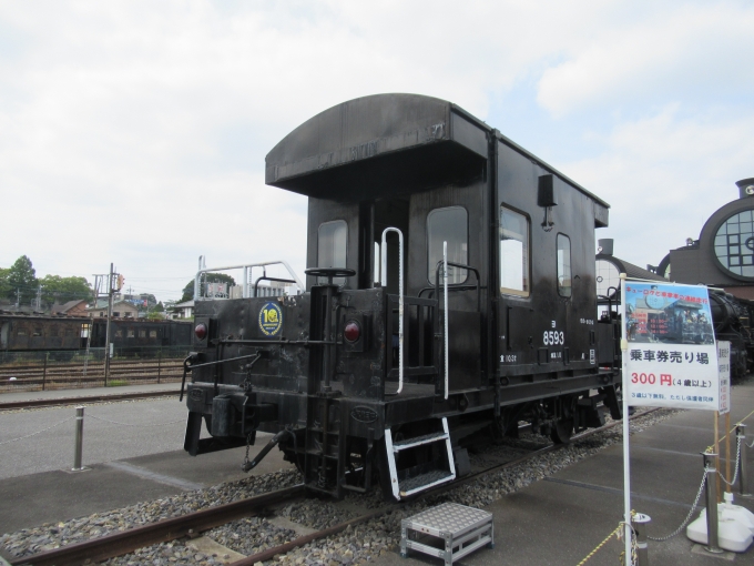 鉄道乗車記録の写真:列車・車両の様子(未乗車)(15)        「ヨ8000形貨車（車掌車）」