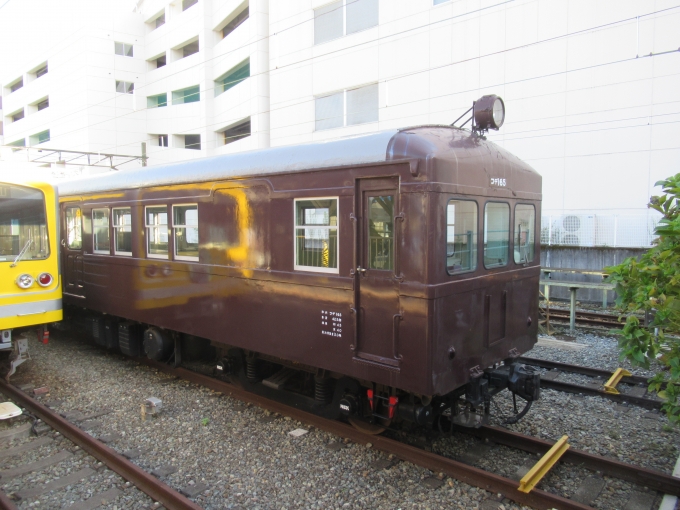 鉄道乗車記録の写真:列車・車両の様子(未乗車)(7)        「保存車両？コデ165」