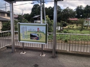 小塙駅 写真:駅舎・駅施設、様子