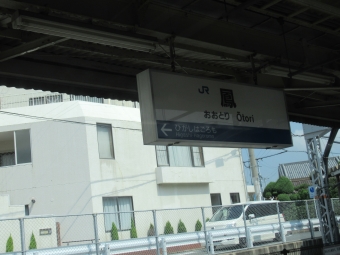 鳳駅から東羽衣駅の乗車記録(乗りつぶし)写真