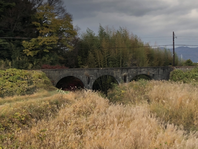 鉄道乗車記録の写真:旅の思い出(6)     「めがね橋、雑草が伸びすぎている」