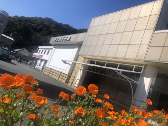 伊豆急下田駅から熱海駅の乗車記録(乗りつぶし)写真
