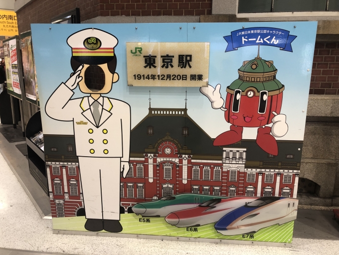 鉄道乗車記録の写真:駅舎・駅施設、様子(1)        「東京駅にも一応ある」