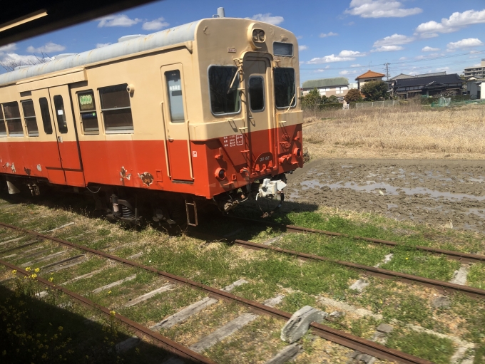 鉄道乗車記録の写真:列車・車両の様子(未乗車)(12)        